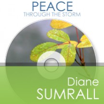 Peace through the storm cd cover
