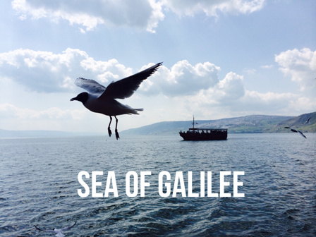 seaofgalilee