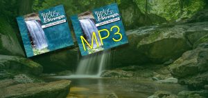 Words of Peace & Strength: Special Price: CD or MP3